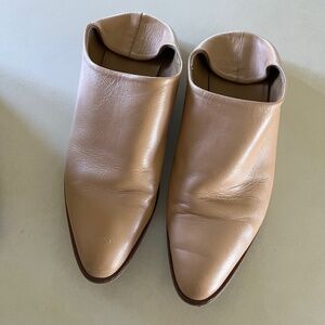 Everlane Leather Mules
